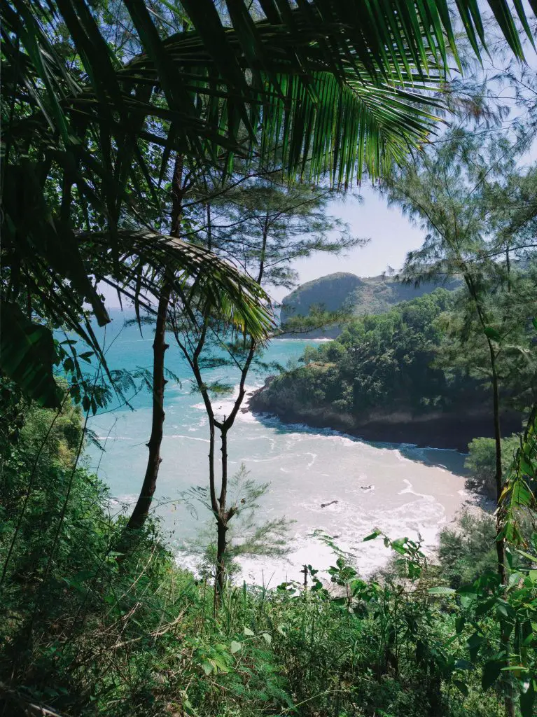 jungle beach Sri Lanka